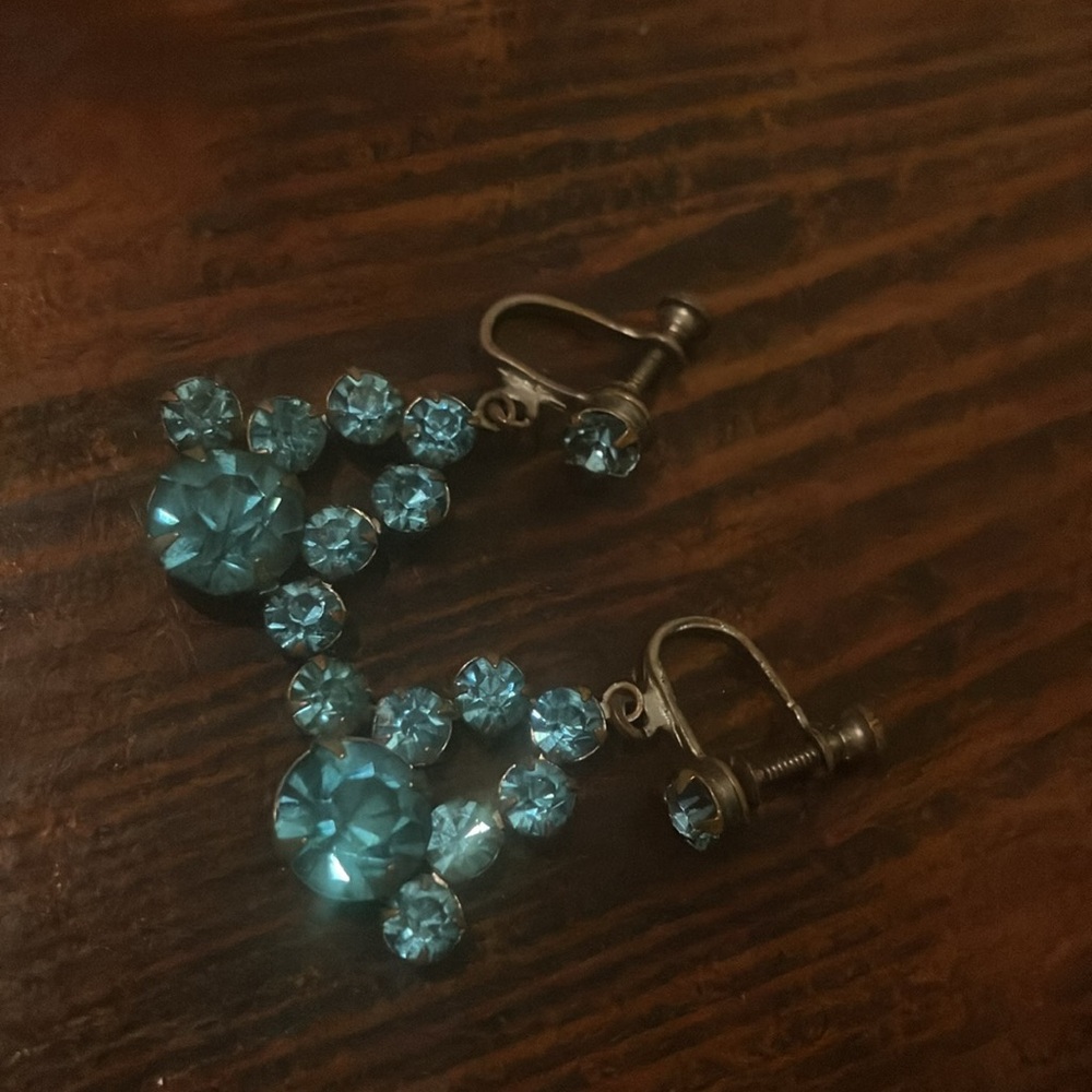 Elegant Blue Crystal Earrings